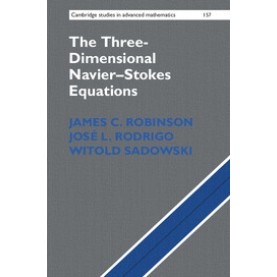 The Three-Dimensional NavierStokes Equations,Robinson,Cambridge University Press,9781107019669,