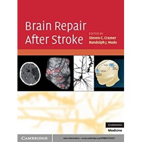 Brain Repair After Stroke South Asian Edition-CRAMER-Cambridge University Press-9781107609594