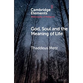 God, Soul and the Meaning of Life,Thaddeus Metz,Cambridge University Press,9781108457453, God, Soul and the Meaning of Life,Thaddeus Metz,Cambridge University Press,9781108457453,