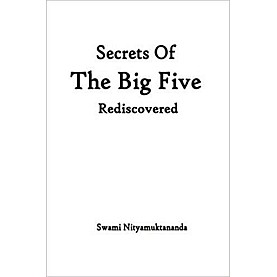 The Five Great Elements Rediscovered-Swami Nityamuktananda-9781846855658