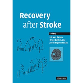 RECOVERY AFTER STROKE,BARNES,Cambridge University Press,9780521691604,