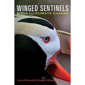 Winged Sentinels,Wormworth,Cambridge University Press,9780521126823,