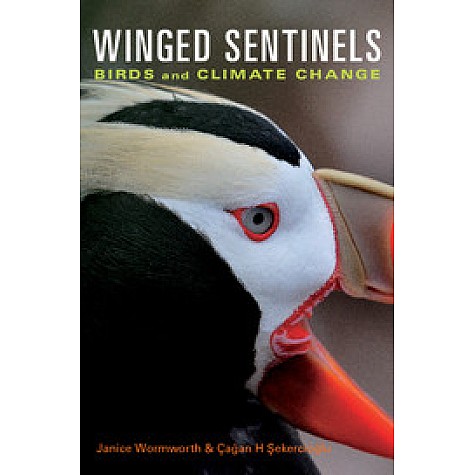 Winged Sentinels,Wormworth,Cambridge University Press,9780521126823,