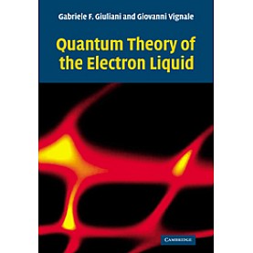 QUANTUM THEORY OF ELECTRON LIQUID,GIULIANI,Cambridge University Press,9780521527965,