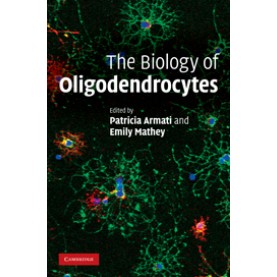 The Biology of Oligodendrocytes,ARMATI,Cambridge University Press,9780521899659,