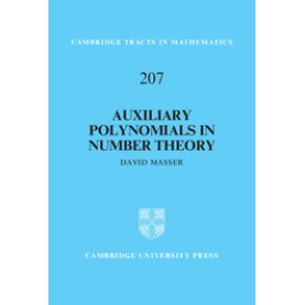 Auxiliary Polynomials in Number Theory,Masser,Cambridge University Press,9781107061576, Auxiliary Polynomials in Number Theory,Masser,Cambridge University Press,9781107061576,