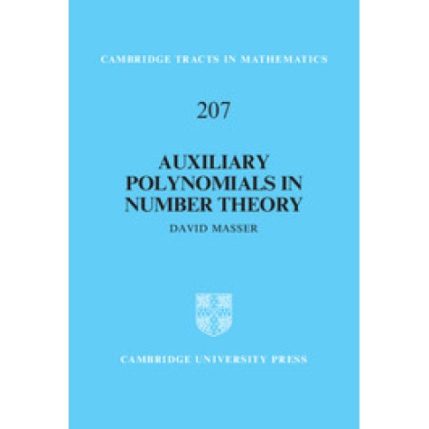 Auxiliary Polynomials in Number Theory,Masser,Cambridge University Press,9781107061576,