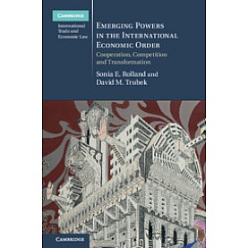 Emerging Powers in the International Economic Order,Sonia E. Rolland , David M. Trubek,Cambridge University Press,9781107129061,