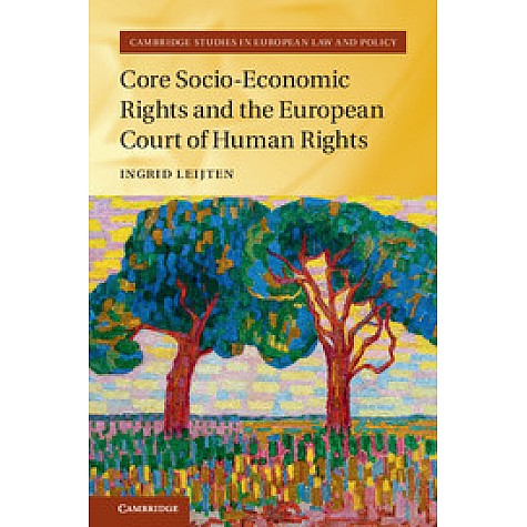 Core Socio-Economic Rights and the European Court of Human Rights,Ingrid Leijten,Cambridge University Press,9781107198470, Core Socio-Economic Rights and the European Court of Human Rights,Ingrid Leijten,Cambridge University Press,9781107198470,