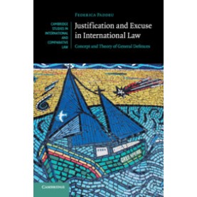 Justification and Excuse in International Law,Federica Paddeu,Cambridge University Press,9781107513990,