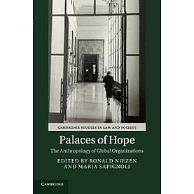 Palaces of Hope,Niezen,Cambridge University Press,9781107127494,