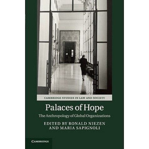 Palaces of Hope,Niezen,Cambridge University Press,9781107127494,