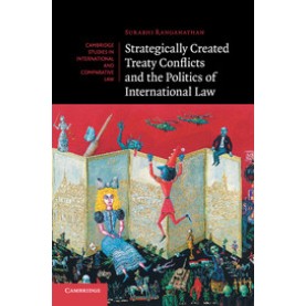Strategically Created Treaty Conflicts and the Politics of International Law,Ranganathan,Cambridge University Press,9781107618497,