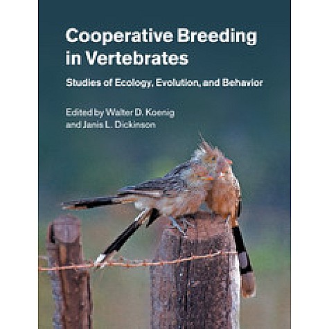Cooperative Breeding in Vertebrates,Walter D. Koenig,Cambridge University Press,9781107043435, Cooperative Breeding in Vertebrates,Walter D. Koenig,Cambridge University Press,9781107043435,