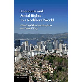 Economic and Social Rights in a Neoliberal World,MacNaughton,Cambridge University Press,9781108418157, Economic and Social Rights in a Neoliberal World,MacNaughton,Cambridge University Press,9781108418157,