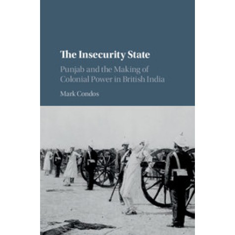 The Insecurity State,Condos,Cambridge University Press,9781108418317,