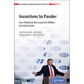 Incentives to Pander,JENSEN,Cambridge University Press,9781108418904,