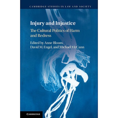 Injury and Injustice,Anne Bloom,Cambridge University Press,9781108420242, Injury and Injustice,Anne Bloom,Cambridge University Press,9781108420242,
