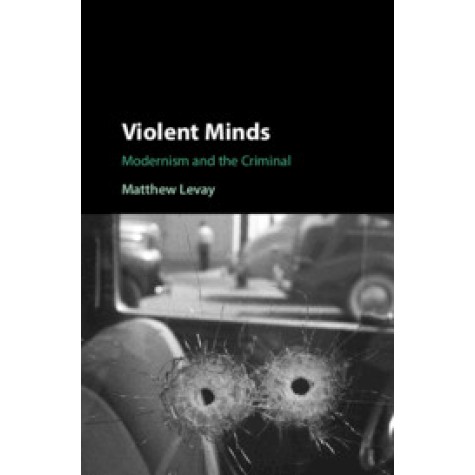 Violent Minds,Levay,Cambridge University Press,9781108428866,