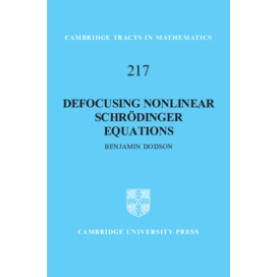Defocusing Nonlinear Schrödinger Equations,Benjamin Dodson,Cambridge University Press,9781108472081,