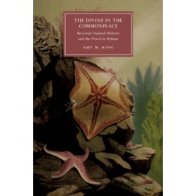 The Divine in the Commonplace,Amy M. King,Cambridge University Press,9781108492959,