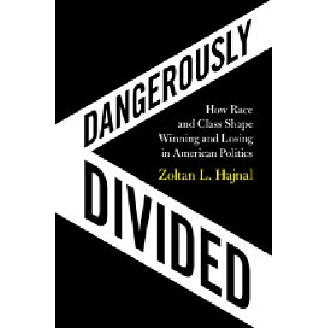 Dangerously Divided,Zoltan L. Hajnal,Cambridge University Press,9781108719728, Dangerously Divided,Zoltan L. Hajnal,Cambridge University Press,9781108719728,