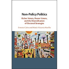 Non-Policy Politics,Ernesto Calvo , Maria Victoria Murillo,Cambridge University Press,9781108739405,