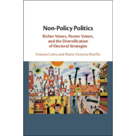Non-Policy Politics,Ernesto Calvo , Maria Victoria Murillo,Cambridge University Press,9781108739405,