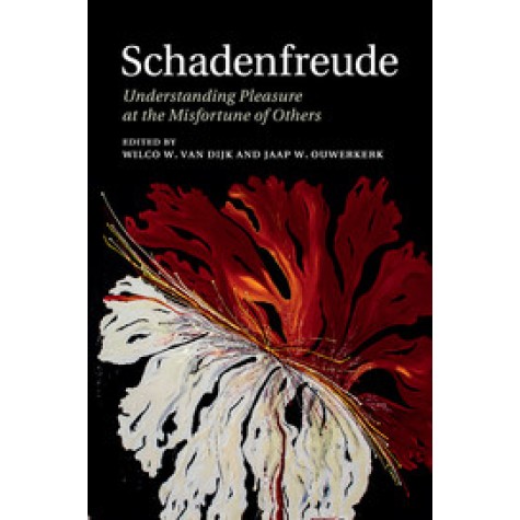 Schadenfreude,VAN DIJK,Cambridge University Press,9781316617960, Schadenfreude,VAN DIJK,Cambridge University Press,9781316617960,