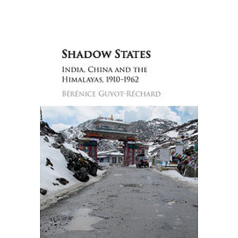 Shadow States,Bérénice Guyot-Réchard,Cambridge University Press,9781107176799,