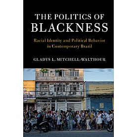 The Politics of Blackness,Mitchell-Walthour,Cambridge University Press,9781107186101,