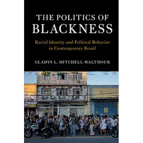 The Politics of Blackness,Mitchell-Walthour,Cambridge University Press,9781107186101,