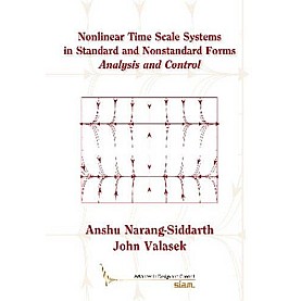 Nonlinear Time Scale Systems in Standard and Nonstandard Forms,Narang-Siddarth,Cambridge University Press,9781611973334,
