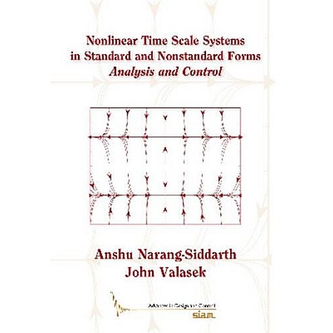 Nonlinear Time Scale Systems in Standard and Nonstandard Forms,Narang-Siddarth,Cambridge University Press,9781611973334,