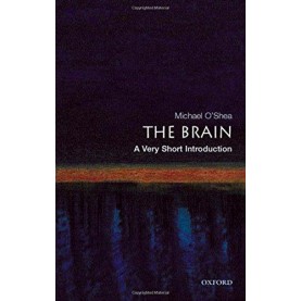 THE BRAIN VSI by MICHAEL O'SHEA - 9780192853929