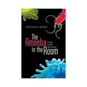 AMOEBA IN THE ROOM C by NICHOLAS P. MONEY - 9780199665938