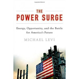THE POWER SURGE by MICHAEL LEVI - 9780199986163