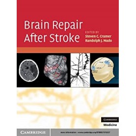 Brain Repair After Stroke South Asian Edition-CRAMER-Cambridge University Press-9781107609594