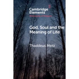 God, Soul and the Meaning of Life,Thaddeus Metz,Cambridge University Press,9781108457453,