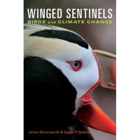 Winged Sentinels,Wormworth,Cambridge University Press,9780521126823,