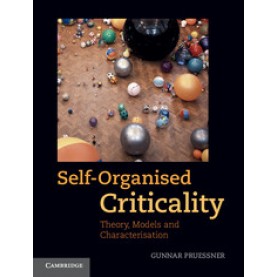 Self-Organised Criticality,Pruessner,Cambridge University Press,9780521853354,