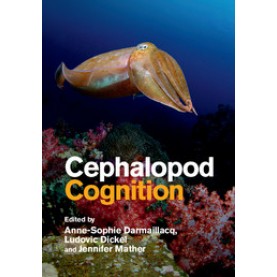 Cephalopod Cognition,Darmaillacq,Cambridge University Press,9781107015562,