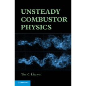 Unsteady Combustor Physics,Lieuwen,Cambridge University Press,9781107015999,