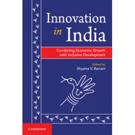 Innovation in India,Shyama V. Ramani,Cambridge University Press India Pvt Ltd  (CUPIPL),9781107037564,