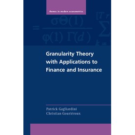 Granularity Theory with Applications to Finance and Insurance,Gagliardini,Cambridge University Press,9781107070837,