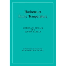 Hadrons at Finite Temperature,Sourav Sarkar,Cambridge University Press,9781107145313,