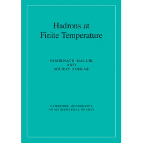 Hadrons at Finite Temperature,Sourav Sarkar,Cambridge University Press,9781107145313,