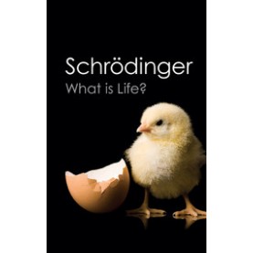 What is Life? On Earth and Beyond,Andreas Losch,Cambridge University Press,9781107175891,