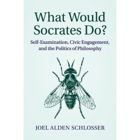 What Would Socrates Do?,Joel Alden Schlosser,Cambridge University Press,9781107672260,