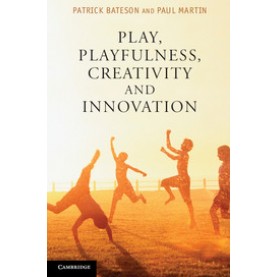 Play, Playfulness, Creativity and Innovation,Bateson,Cambridge University Press,9781107689343,